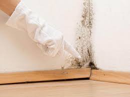 Best Environmental Consulting for Mold Prevention  in New Madison, OH